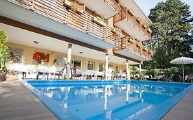 Hotel Aster
